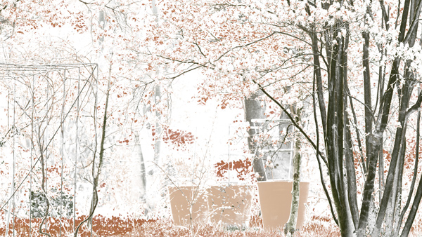 455cmx250cm;papier peint;motif floral et végétal; touches de couleurs