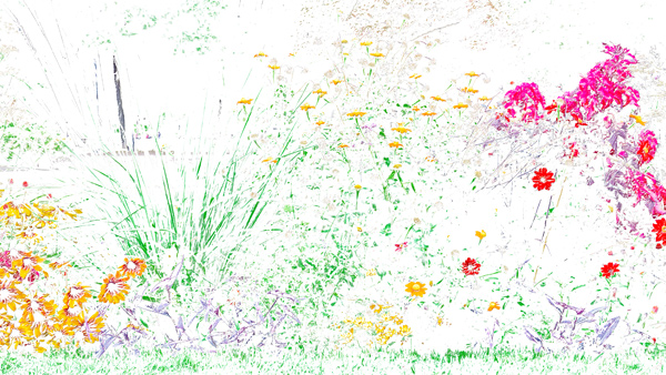 455cmx250cm;papier peint;motif floral et végétal; touches de couleurs