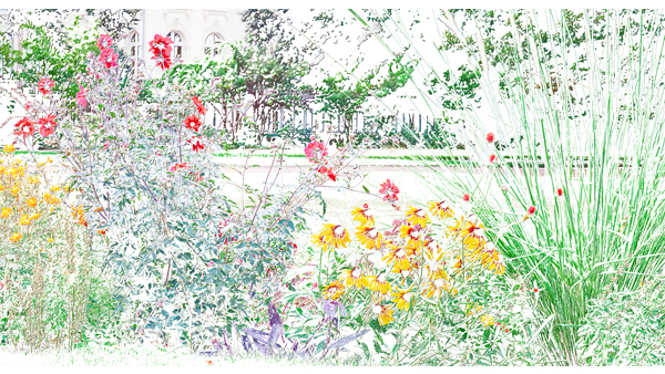 HOTEL 251cmx135cm;papier peint;motif floral et végétal; touches de couleurs