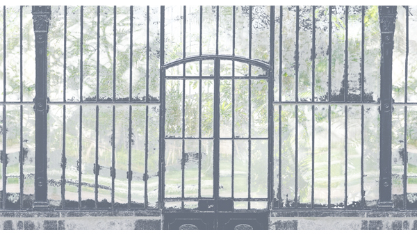 251cmx135cm;papier peint;motif floral et végétal; touches de couleurs