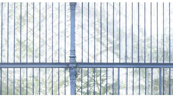 251cmx135cm;papier peint;motif floral et végétal; touches de couleurs