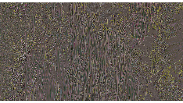 251cmx135cm;papier peint;motif floral et végétal; touches de couleurs