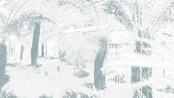 455cmx250cm;papier peint;motif floral et végétal; touches de couleurs