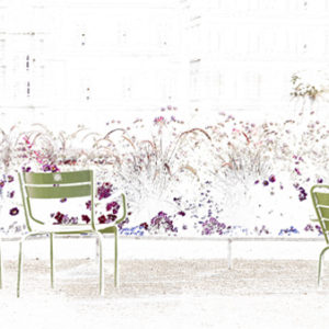 455cmx250cm;papier peint;motif floral et végétal; touches de couleurs